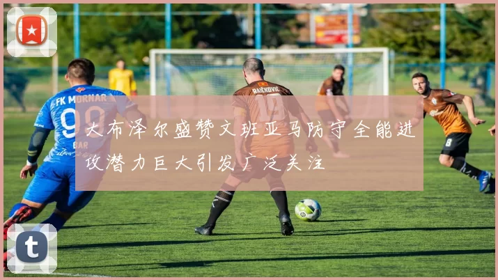 大布泽尔盛赞文班亚马防守全能进攻潜力巨大引发广泛关注